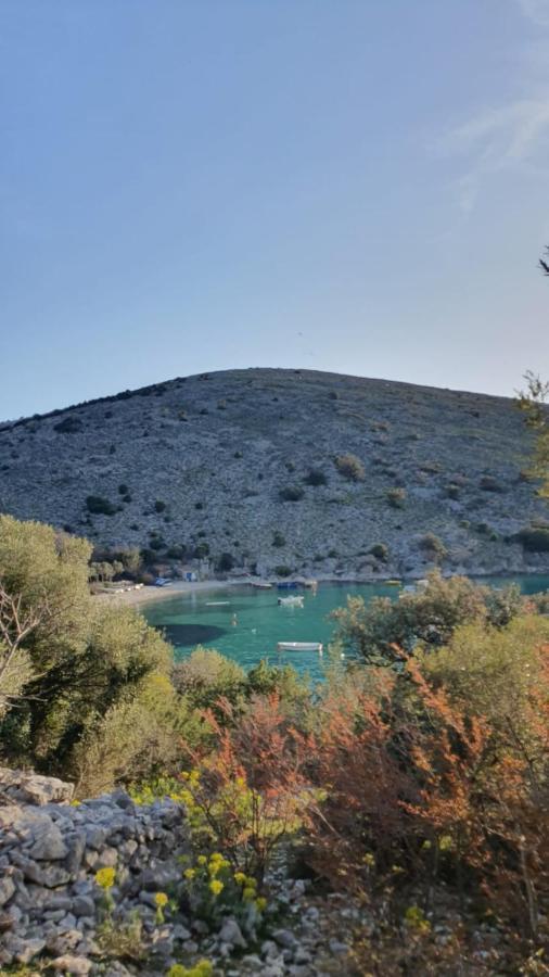 Ustrine House Tuna מראה חיצוני תמונה