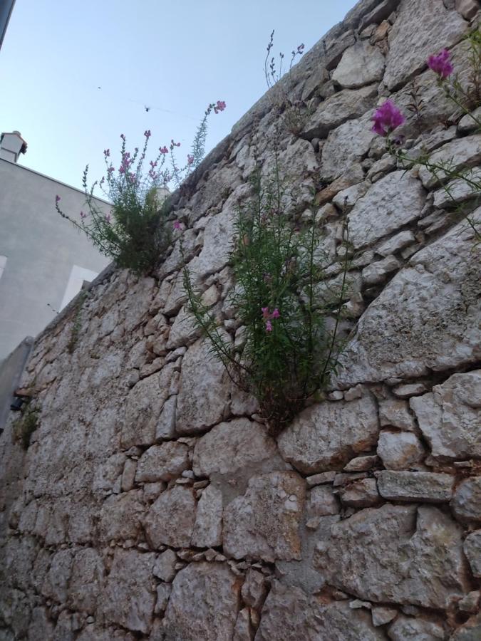 Ustrine House Tuna מראה חיצוני תמונה